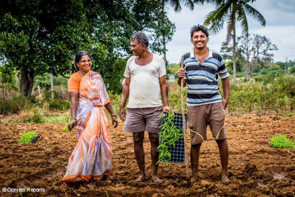 El Agricultor y cliente de Y-Cook client Krishna Muthy (derecha) con sus padres en su campo de maiz
