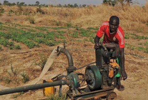 Amadou Ndiaga N'Dong es un cliente final de una organización apoyada por Oikocredit, U-IMCEC, en Senegal.