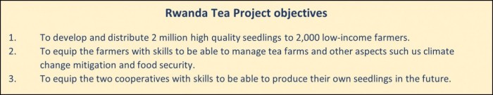 Objetivos del proyecto de plántulas de té en Ruanda