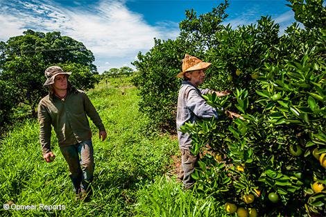 Coagrosol Brasil, Proyecto financiado por el Fondo CSAF de Finanzas Éticas para la agricultura